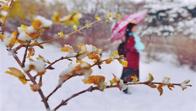 瀋陽：雪中別樣的景致_fororder_雪景1