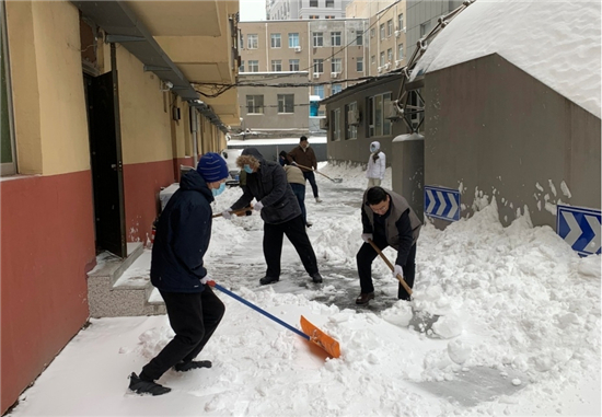 瀋陽市僑聯在行動：發動沈城僑界 聚力除雪破冰_fororder_僑聯除雪1