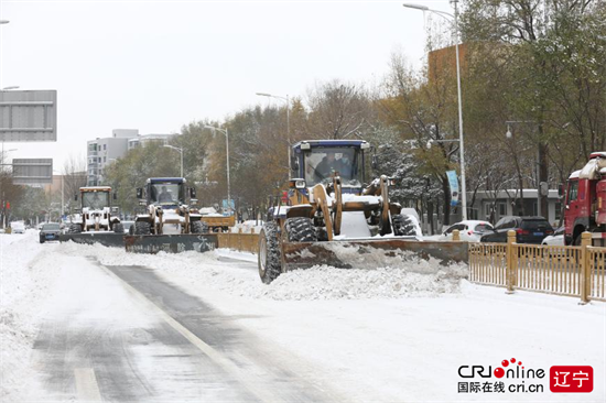 瀋陽市于洪區：抗擊暴風雪 彰顯于洪溫度_fororder_圖片1