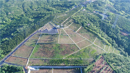 鞍山弘蓮墓園以擁軍為主打造紅色墓園_fororder_300畝墓園沒有一塊立碑 供圖 弘蓮墓園