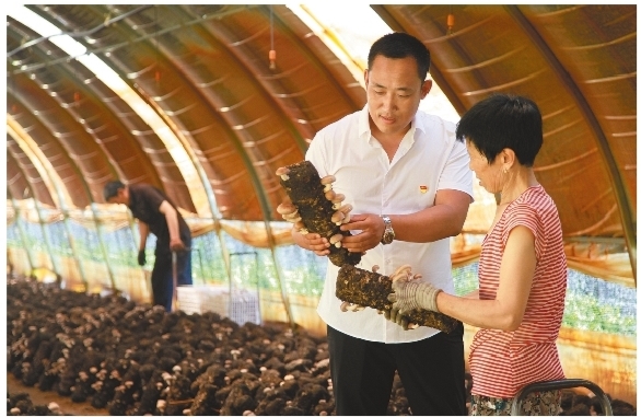 點燃紅色引擎 奏響發展強音 ——鐵嶺市提升基層黨建工作品質綜述