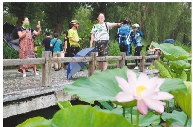 荷花文化旅遊節開幕