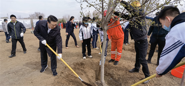 躬耕“試驗田”建好“樣板間” 沈撫示範區錨定目標精準發力_fororder_沈撫示範區黨工委副書記、管委會主任董峰帶領班子成員植樹，綠化家園 攝影 兵歌