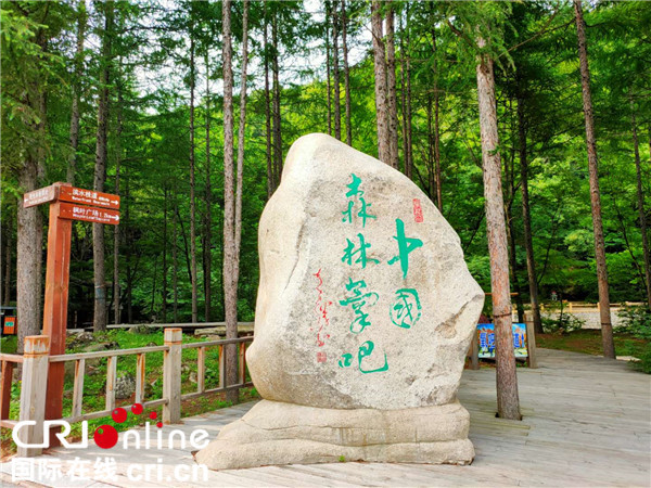 伐木工“變身”護林人 本溪楓林谷綠色轉型帶動脫貧致富