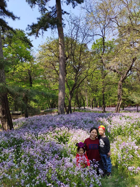 瀋陽：公園百花開正盛 盡展傾城好顏色_fororder_微信圖片_20220503134208_副本