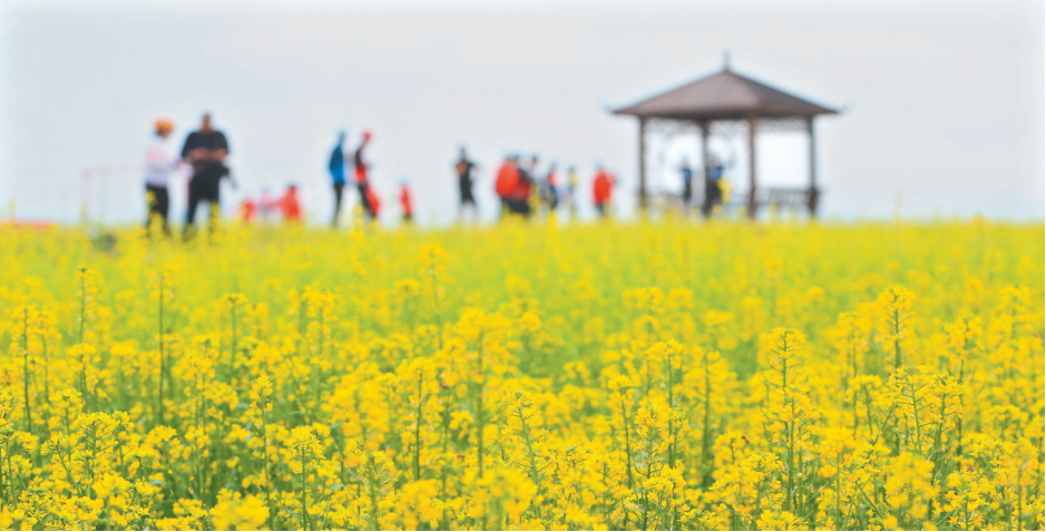 朝陽：田園綜合體興業富民_fororder_微信截圖_20220602093146