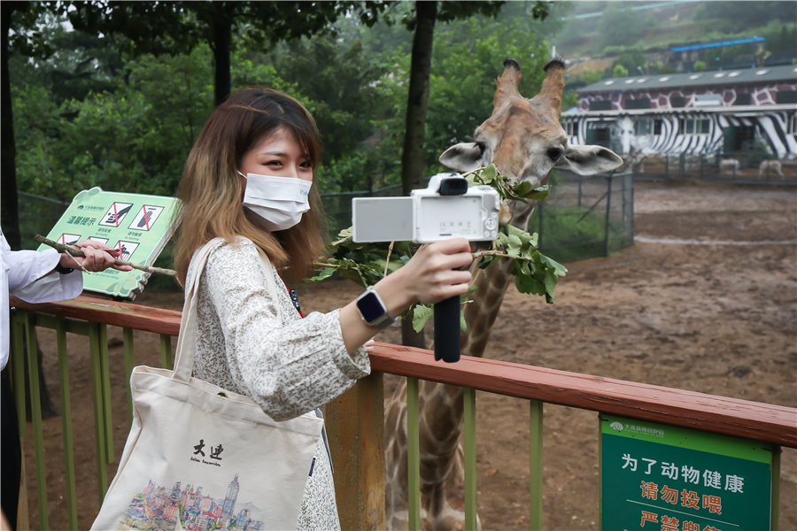 大連創建東亞文化之都｜海外旅遊達人與大連的文藝浪漫撞個“滿懷”_fororder_圖集4