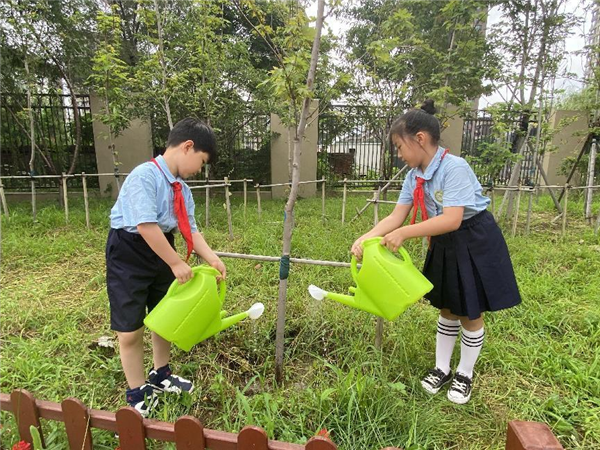 瀋陽市勳望小學建農分校：紅楓樹下添心意 蔭蔭處處育棟樑_fororder_楓樹3