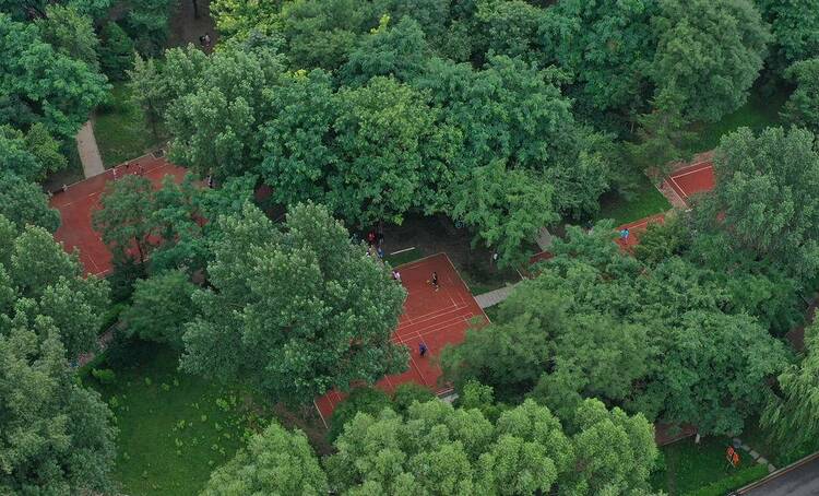 瀋陽：出門見綠 遊園見景