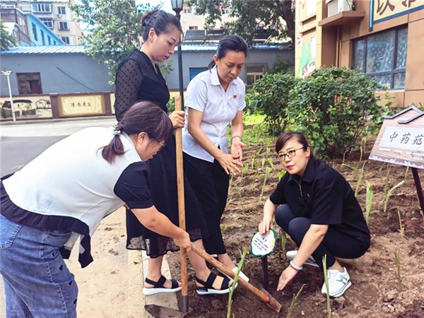 情係“兩鄰” 瀋陽岐山一校聯手遼寧中醫藥大學推進“幸福教育”進社區_fororder_教育2