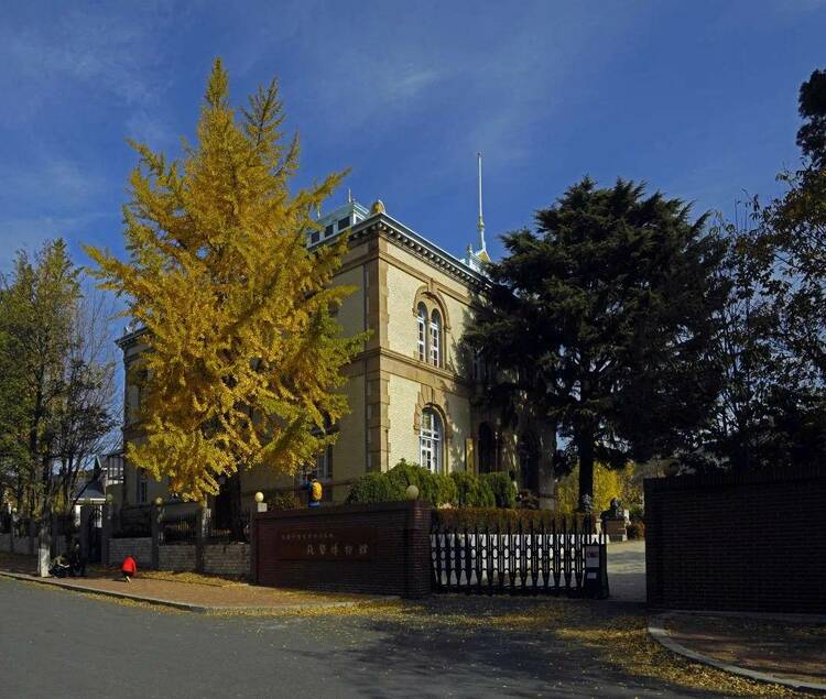 創建國家5A級風景區 大連旅順太陽溝煥新提升進行時