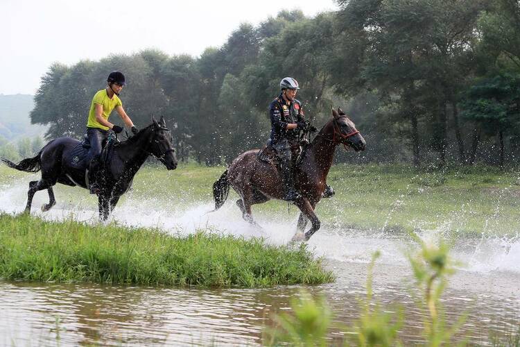 朝陽南臺村：夏日生態美，馬踏水花飛