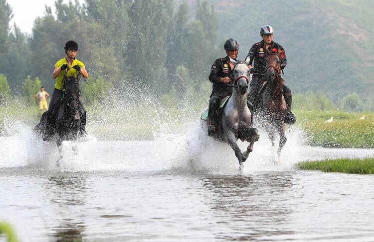 朝陽南臺村：夏日生態美，馬踏水花飛