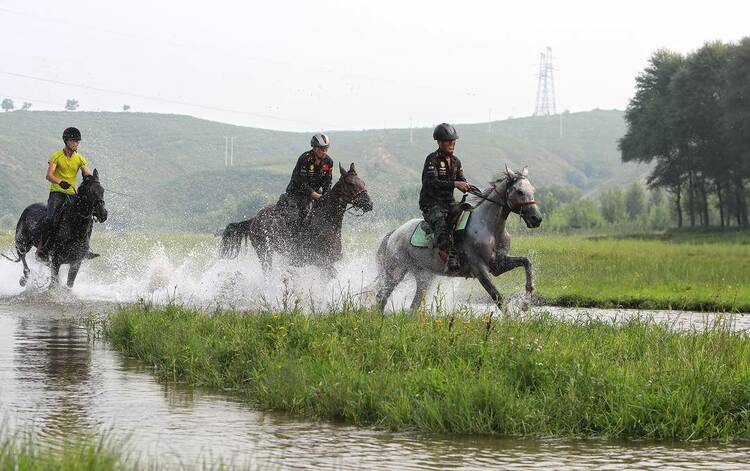 朝陽南臺村：夏日生態美，馬踏水花飛