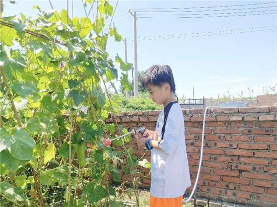 瀋陽市岐山一校開展“岐娃體驗園”暑期勞動實踐活動_fororder_教育3