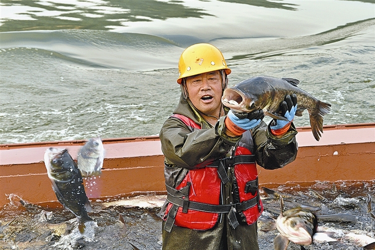 大連：碧流河水庫的“大豐收”