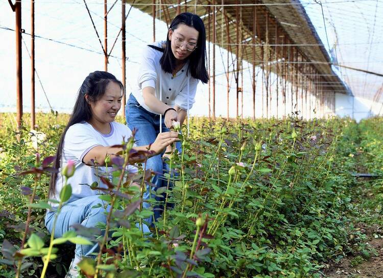 朝陽：淩源宮家燒鍋村入選中國美麗休閒鄉村