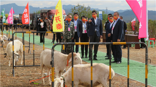 錦州舉辦“中國農民豐收節”活動，開幕式唱響“豐收民歌”_fororder_cbb82a84b0c0a7dfa55e6d6586c2ec1