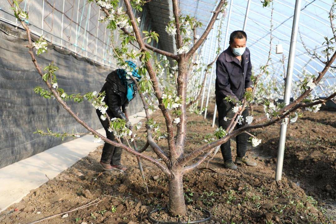 營口市老邊區：生態農業鋪就農民致富路