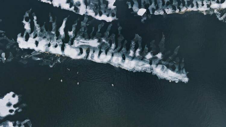 你好“鴨”，春雪！