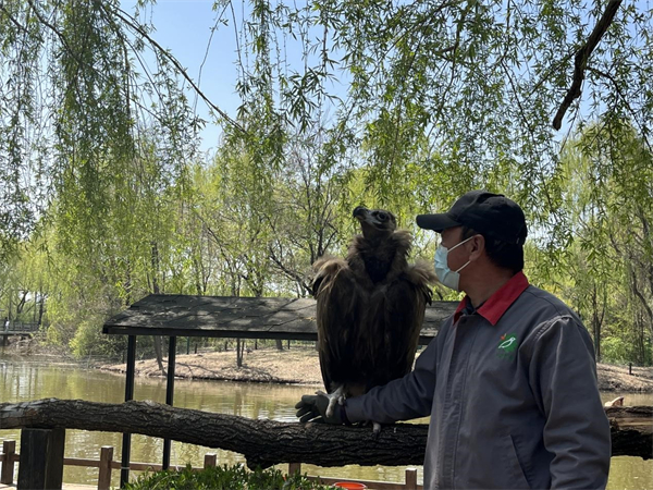 “五一”小長假嗨起來 瀋陽推出多個旅遊項目_fororder_動物園3_副本