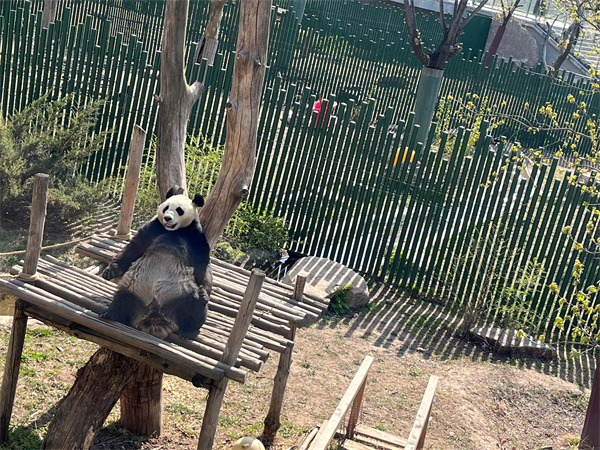 “五一”小長假嗨起來 瀋陽推出多個旅遊項目_fororder_動物園6_副本