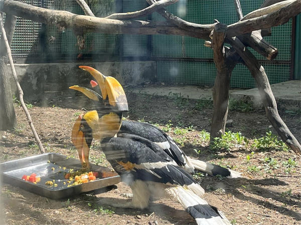 “五一”小長假嗨起來 瀋陽推出多個旅遊項目_fororder_動物園2_副本