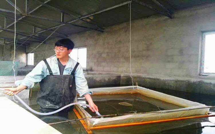 長江以北“零”的突破！鴨綠江刀鱭魚苗人工繁育越冬喜獲成功