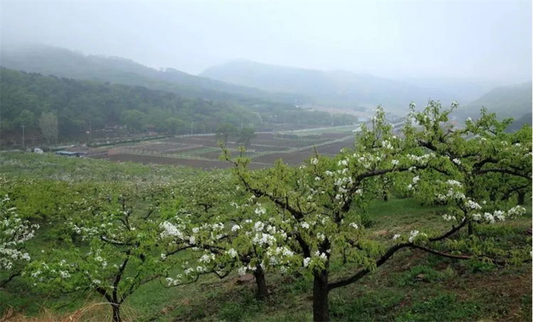 （文旅專題）瀋陽：處處花開 時時向陽_fororder_文旅瀋陽1