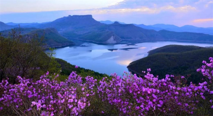 （文旅專題）本溪：浪漫春日 花滿山城_fororder_文旅本溪1