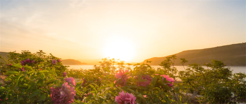 （文旅專題）葫蘆島：春風十里 陌上花開_fororder_文旅葫蘆島2