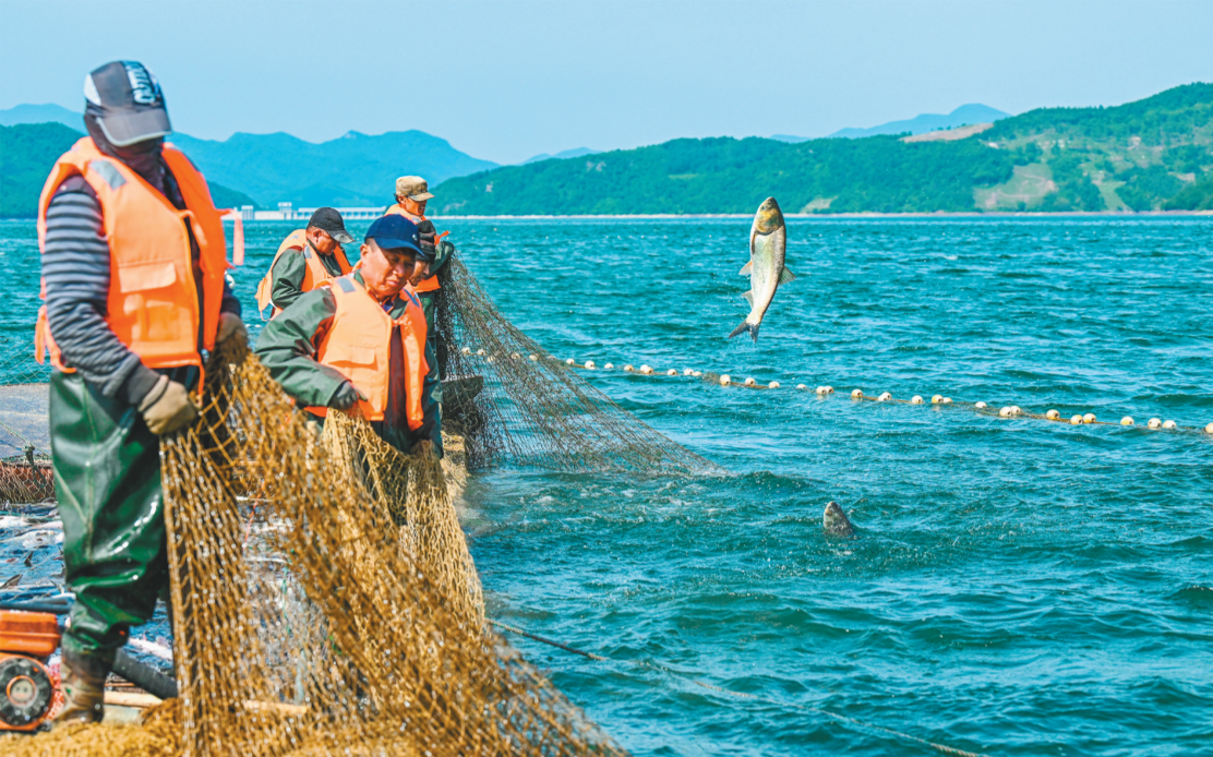 遼寧：以水養魚 以魚凈水_fororder_1685928241793