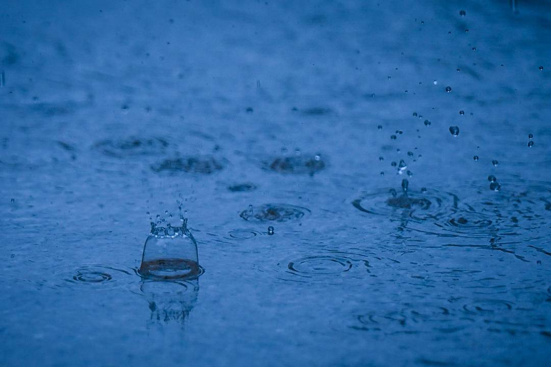 瀋陽：出伏首場雨，陣陣送秋涼