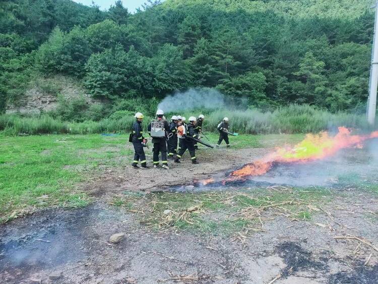 本溪：持續推進林長制，守護青山綠常在