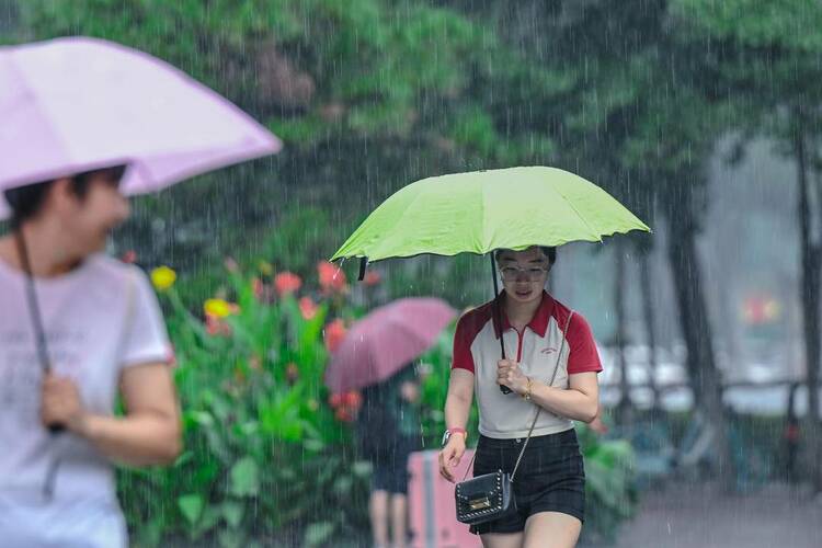 瀋陽：出伏首場雨，陣陣送秋涼