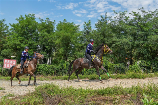 2023第二屆渾南馬術嘉年華活動開幕_fororder_馬術2