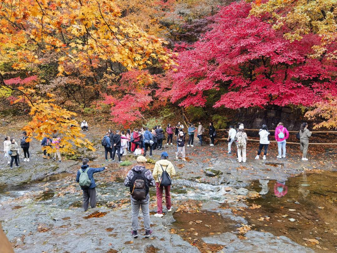 層林盡染，本溪楓葉紅火假日消費