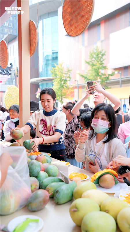 秋日瀋陽、遇見仁和 攀枝花市仁和區城市推介活動走進瀋陽_fororder_攀枝花4