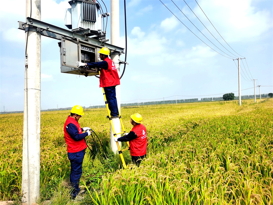 國網鐵嶺供電公司：“滿格電”服務秋糧安全_fororder_楊電力1