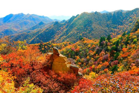 遼寧北票大黑山4500米高山無障礙遊步道吸引遊客“打卡”賞秋