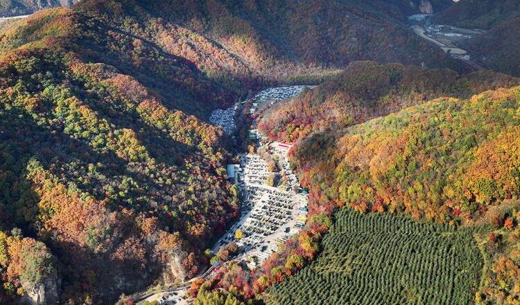 本溪：錯峰賞楓正當時