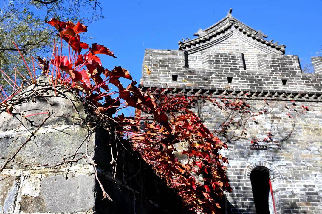 丹東虎山長城迎來秋遊高峰