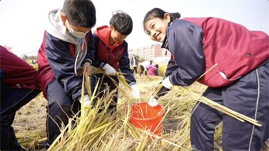 （待核實）稻浪飄香同慶豐收 瀋陽市于洪區舉辦融合型學校首屆親子豐收節_fororder_于洪活動2