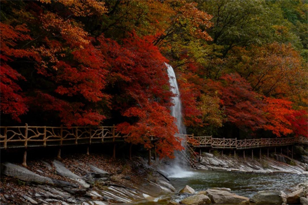 （文旅專題）大連天門山賞秋 “楓”火連天_fororder_文旅天門山7