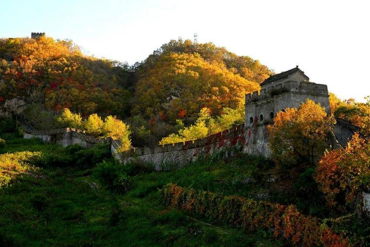 丹東虎山長城迎來秋遊高峰