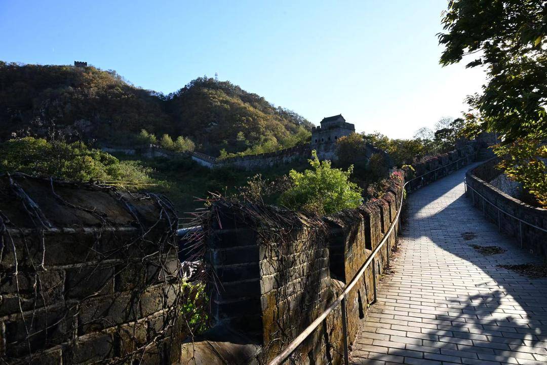 丹東虎山長城迎來秋遊高峰