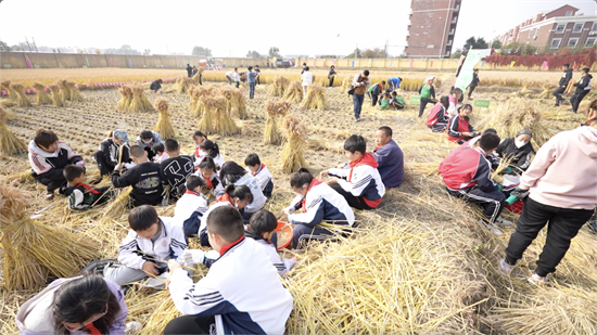 （待核實）稻浪飄香同慶豐收 瀋陽市于洪區舉辦融合型學校首屆親子豐收節_fororder_于洪活動1