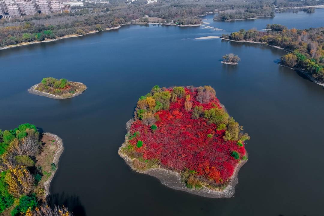 瀋陽這個小島“紅”了