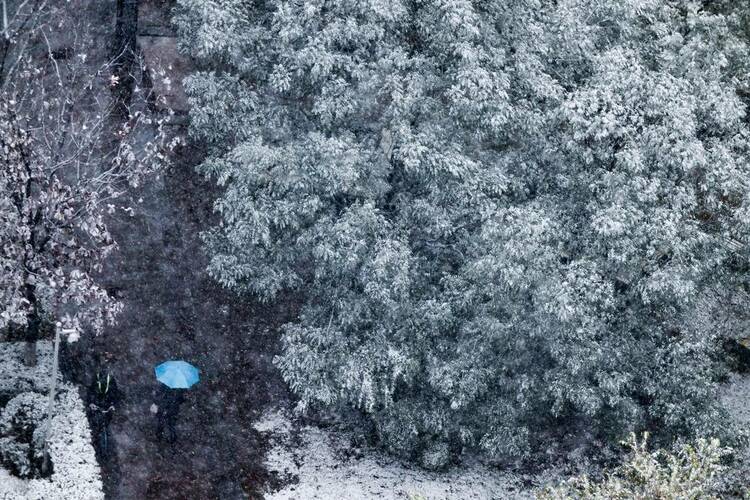 瀋陽初雪圖