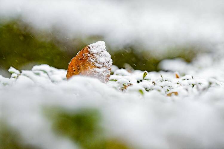 瀋陽初雪圖